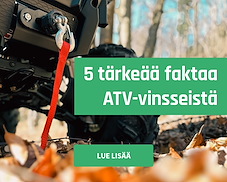 vinssit 5 faktaa